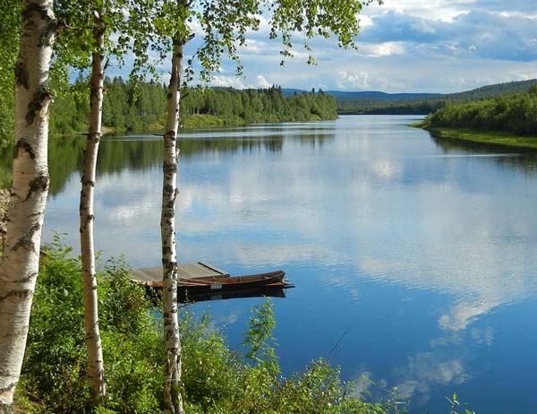 Художник а и куинджи березовая роща. Архип Иванович Куинджи
