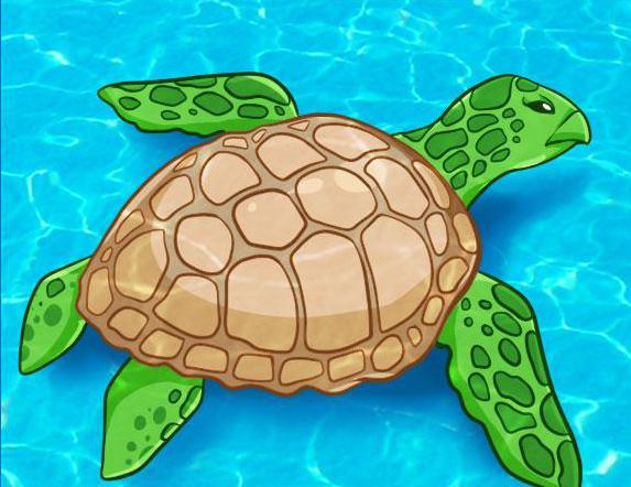 Как нарисовать подводную лодку карандашом. Как нарисовать подводный мир: открываем для себя красоты животного и растительного мира океанского дна