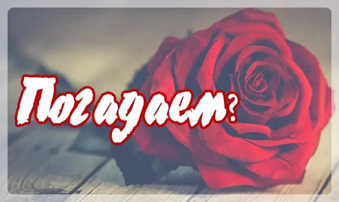 Гадания по палочкам. Гадание на палочках