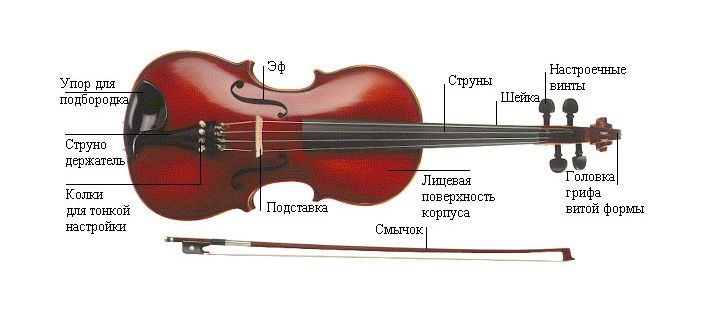 Что такое альт? Альт: интересные факты, видео, история, фото, слушать Соло в оркестре.