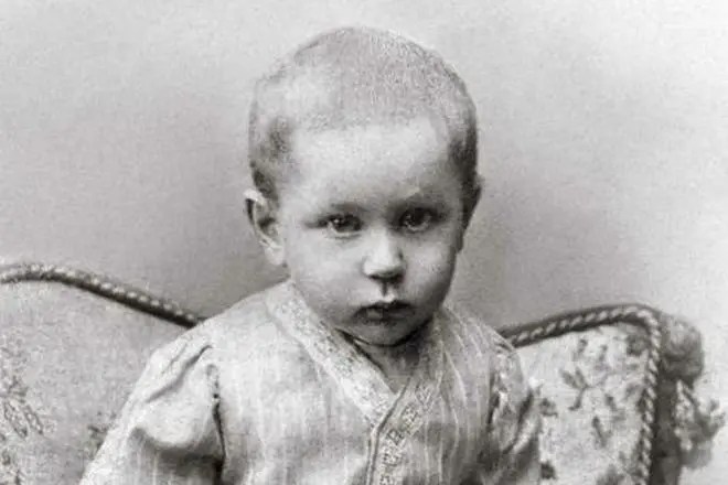 Биография шаламов в. т