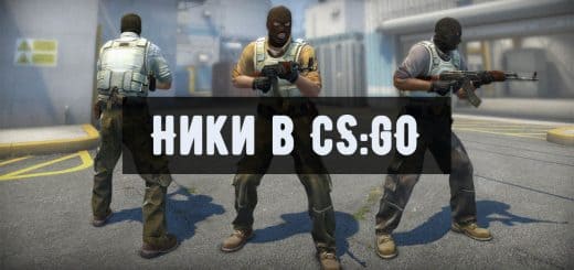 Скачать классный ник для кс го. Ники для кс для девушек