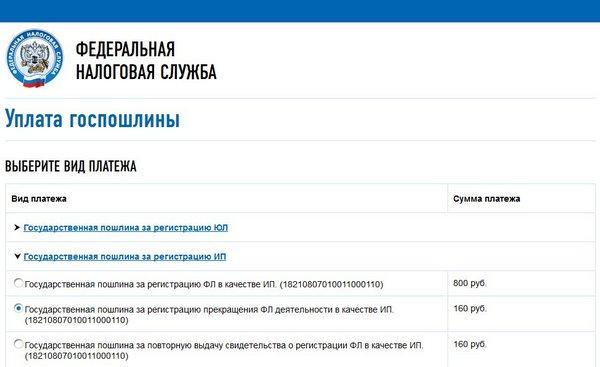 Квитанция на оплату госпошлины за открытие ип. Госпошлина за регистрацию ИП: нужная сумма и документы