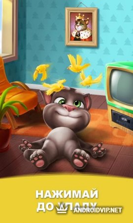 Скачать игру мой говорящий кот окрас. Скачать мой говорящий том для компьютера