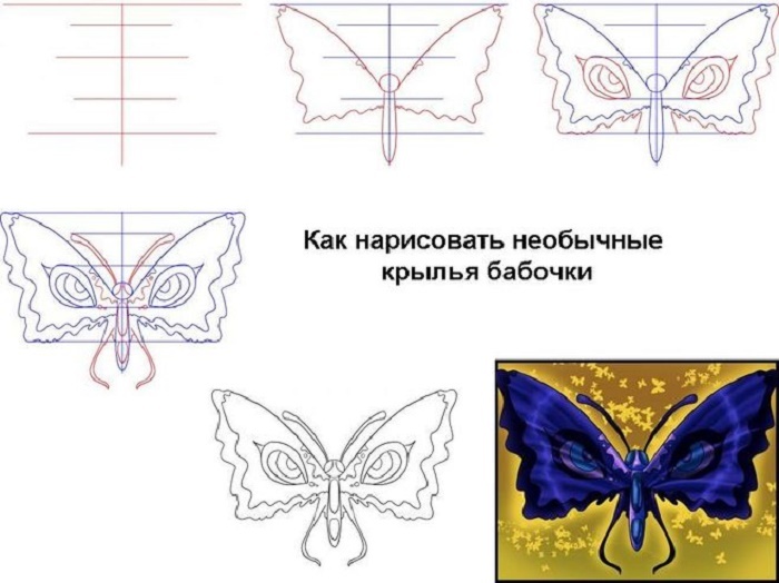 Как поэтапно нарисовать бабочку карандашом: мастер-класс. Учимся рисовать бабочку карандашом Как нарисовать красивую бабочку