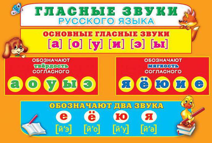 Сколько гласных звуков и согласных звуков в русском языке? Сколько гласных звуков в русском языке – изучаем Великий и Могучий.