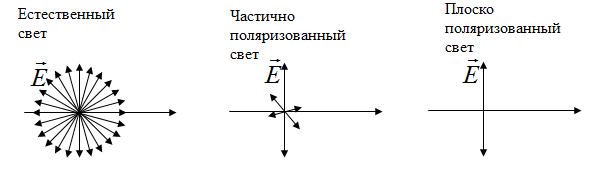 Поляризация света. Естественный и поляризованный свет