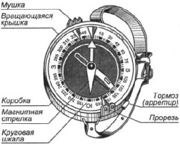 Север, юг, запад, восток: расположение. Компас