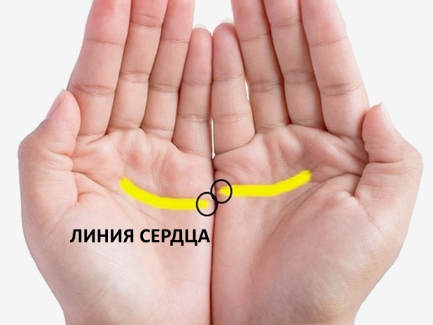 Значение линий на левой руке с пояснениями. Хиромантия: линии на руке и их значения с расшифровками и фото