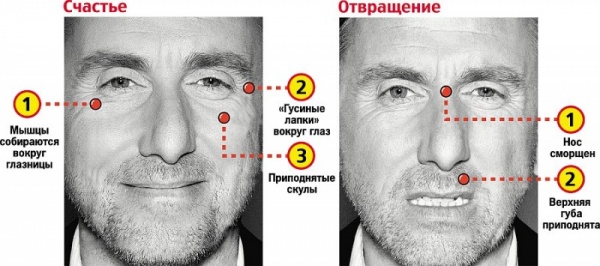 Как определить ложь и понять, что вам врут. Как распознать ложь: способы вывести вруна на «чистую воду