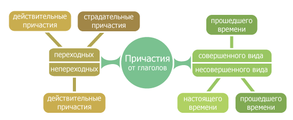 Особые формы глагола. Правильное правописание: что такое причастие и деепричастие, правила с примерами