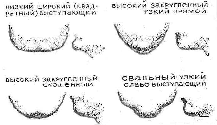 Люди с раздвоенным подбородком. Определяем мужской характер по внешности
