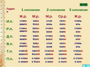 Склонение существительных в русском. Как определить склонение существительных и других частей речи