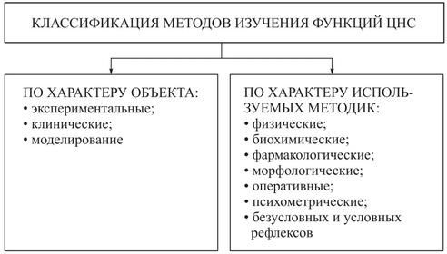 Методы исследования цнс. Физиология среднего мозга